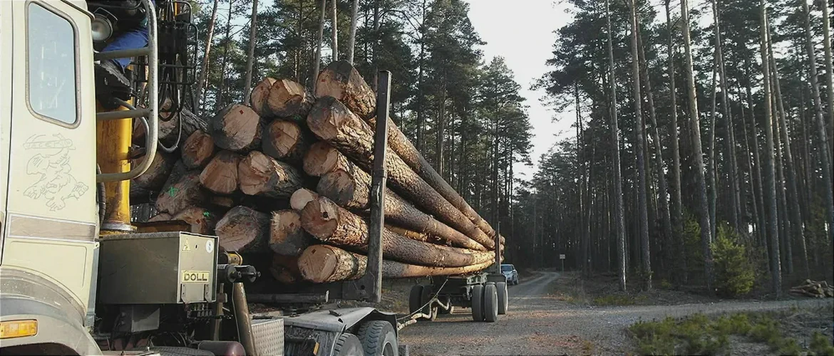 tartak kantówki klejonka drewno sosnowe obróbka Leżajsk Janów Lubelski